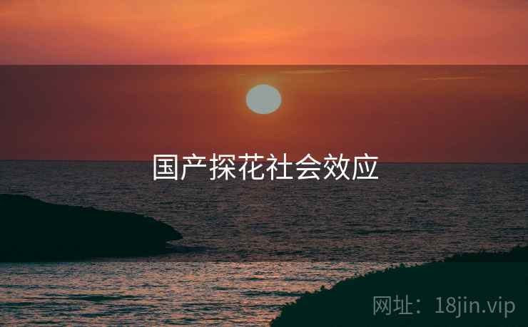 国产探花社会效应
