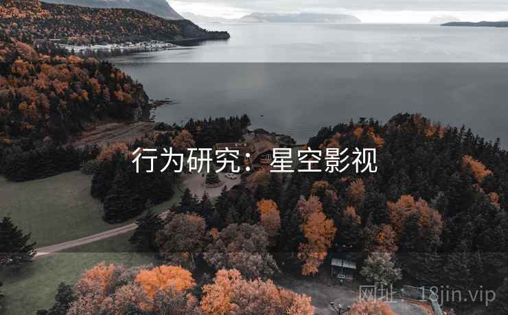 行为研究：星空影视