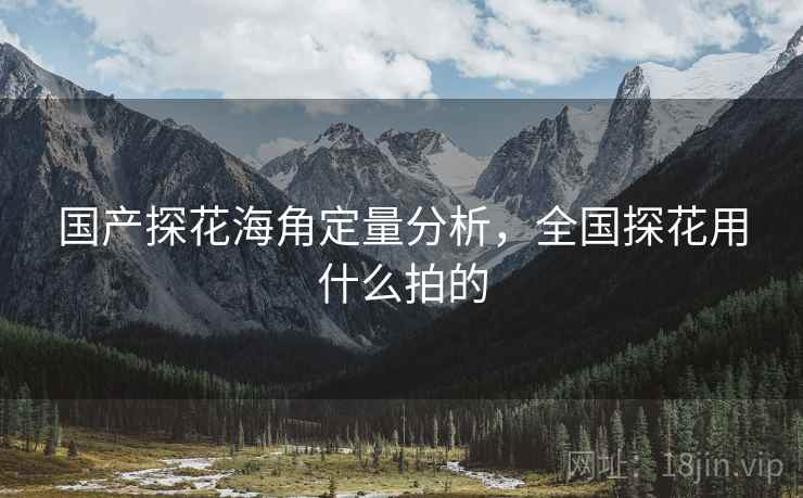 国产探花海角定量分析，全国探花用什么拍的