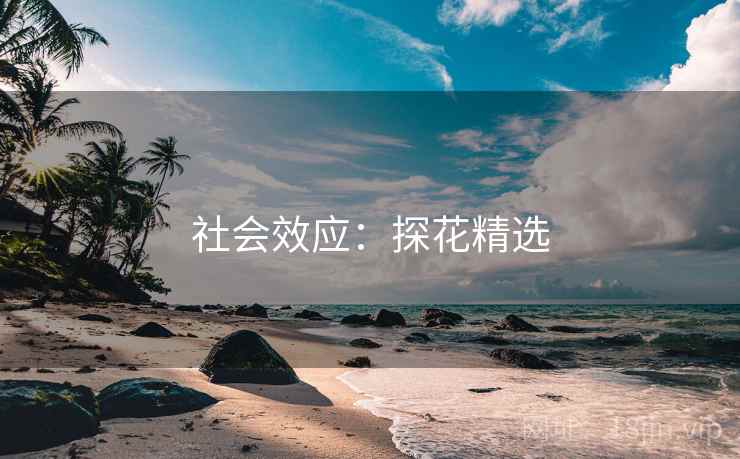 社会效应：探花精选