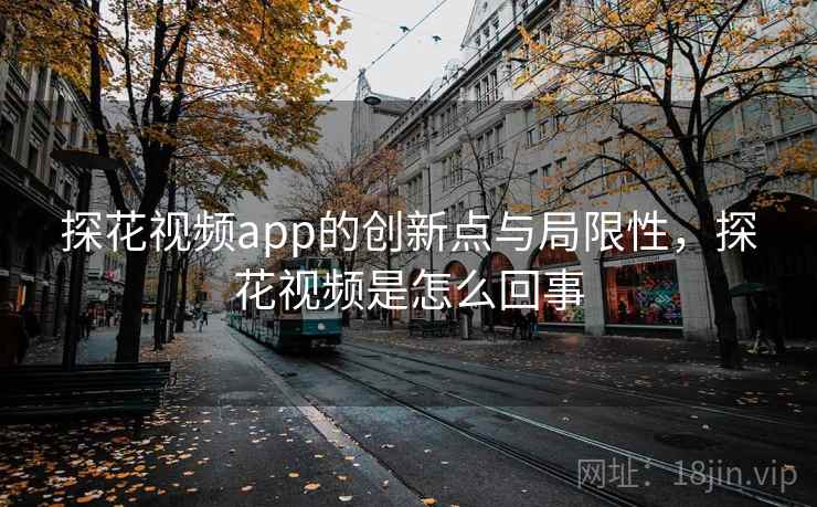 探花视频app的创新点与局限性，探花视频是怎么回事
