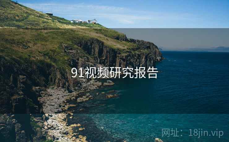 91视频研究报告