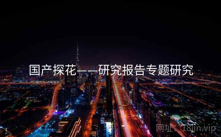 国产探花——研究报告专题研究