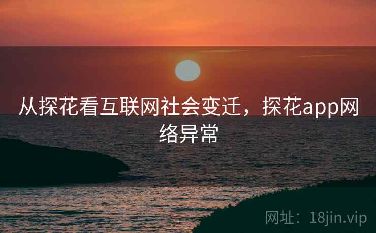 从探花看互联网社会变迁，探花app网络异常