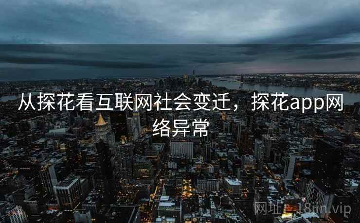 从探花看互联网社会变迁，探花app网络异常