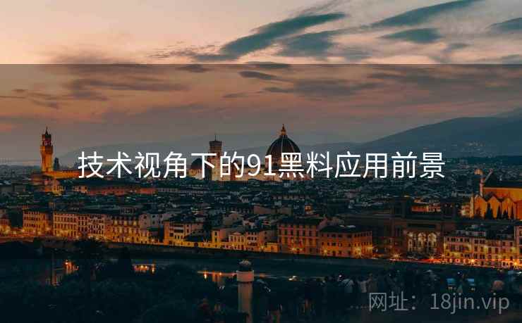 技术视角下的91黑料应用前景