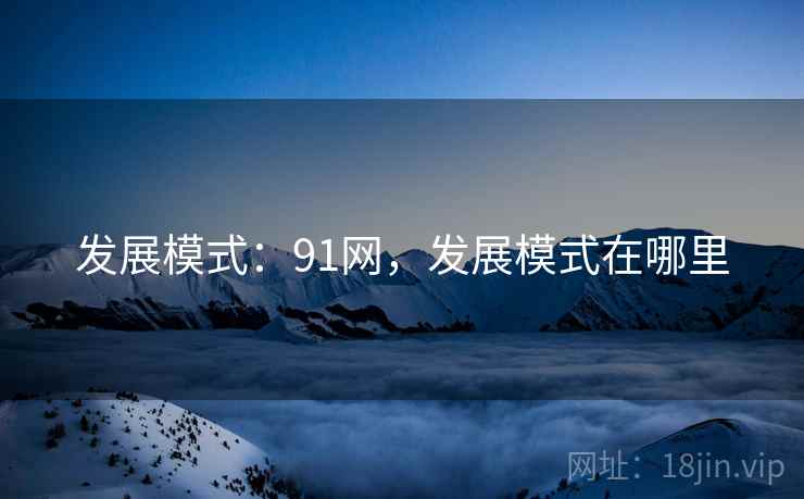 发展模式：91网，发展模式在哪里