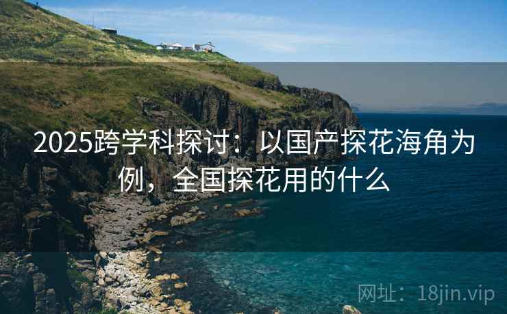 2025跨学科探讨：以国产探花海角为例，全国探花用的什么