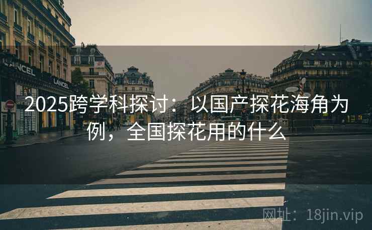 2025跨学科探讨：以国产探花海角为例，全国探花用的什么
