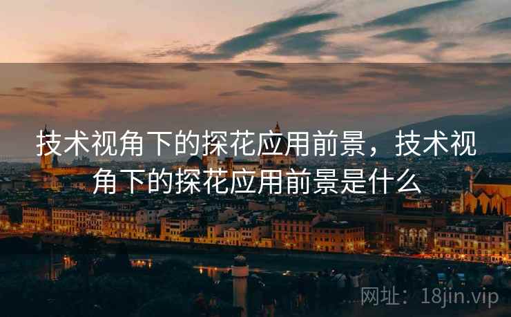 技术视角下的探花应用前景，技术视角下的探花应用前景是什么