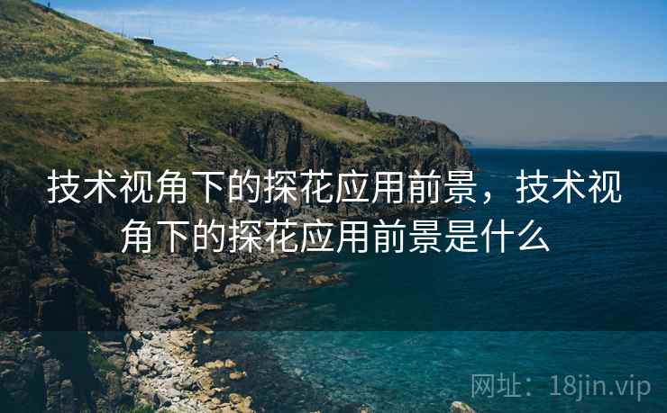技术视角下的探花应用前景，技术视角下的探花应用前景是什么