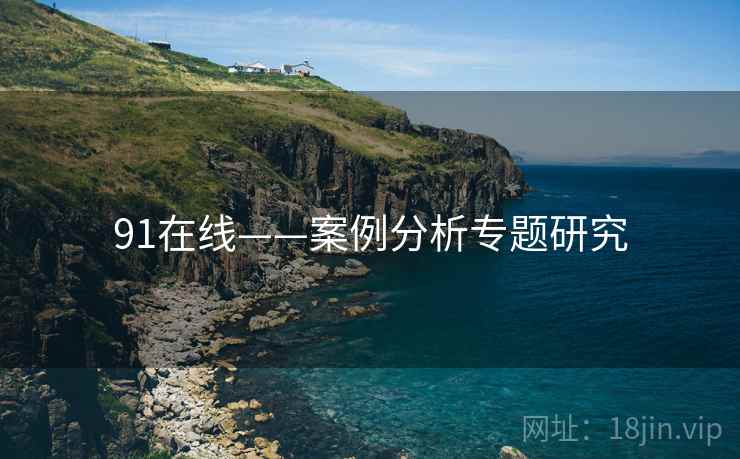 91在线——案例分析专题研究