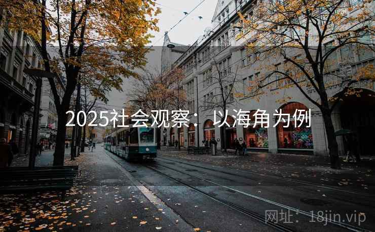 2025社会观察：以海角为例