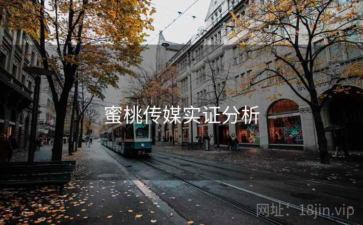 蜜桃传媒实证分析