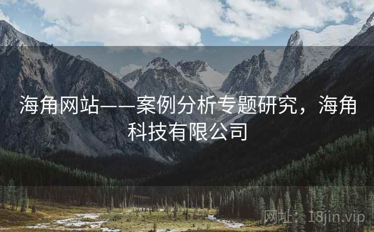 海角网站——案例分析专题研究，海角科技有限公司