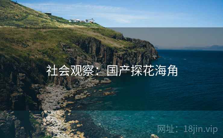 社会观察：国产探花海角