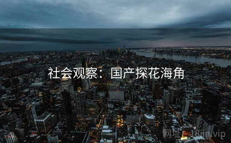 社会观察：国产探花海角