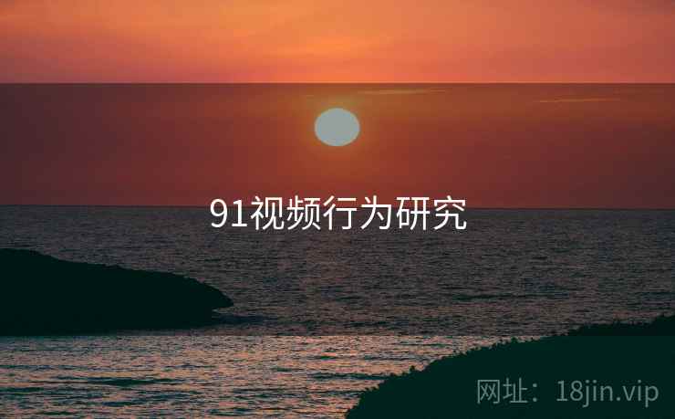 91视频行为研究