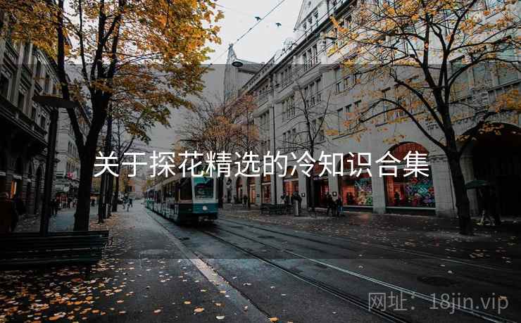 关于探花精选的冷知识合集
