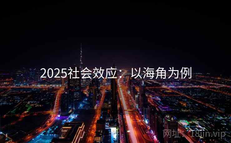 2025社会效应：以海角为例