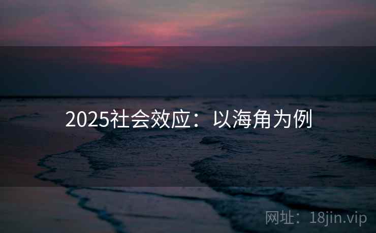 2025社会效应：以海角为例