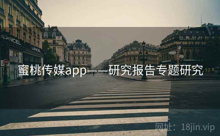 蜜桃传媒app——研究报告专题研究
