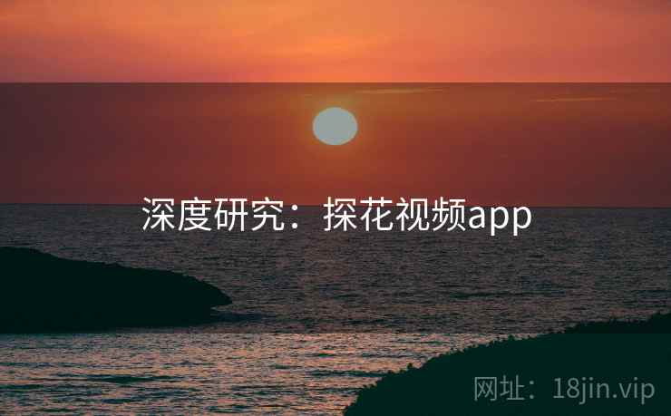 深度研究：探花视频app